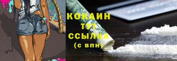 spice Алзамай