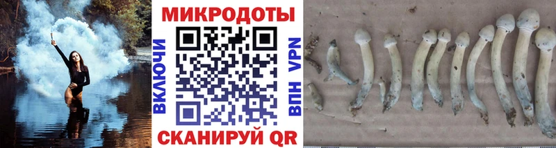 дарнет шоп  Канаш  Псилоцибиновые грибы Cubensis 